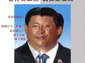 世界上除了恬不知恥的撒旦畜生騙子之外,有誰可以有此成就?