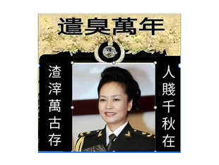 習近平思想必定比大淫婦彭麗媛的弄虛作假，殘暴不仁的妓女治國思想優勝萬倍！