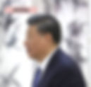 習近平普京會面 => 習近平頭髮是灰色的