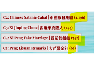 我已經發佈了千多個有關大淫婦彭麗媛造假的新聞！這些證據還不足夠嗎？