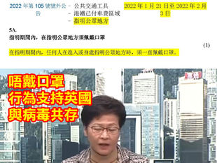 林鄭月娥公開知法犯法,是明顯違規觸犯法例