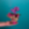 Orquídea Mini (Quantidade de hastes pode variar)