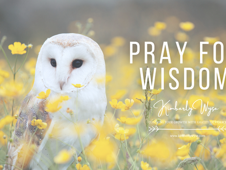 Pray for Wisdom