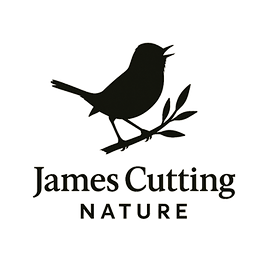 James Cutting Nature Logo a Dartford Wabler silhouette on a brach