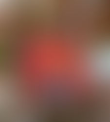 Coccinelle arc-en-ciel en papier