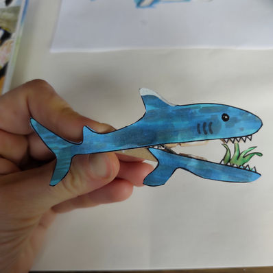 Le requin végétarien Calédonien