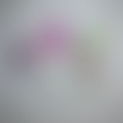 Fleurs à l’aquarelle et fil de fer