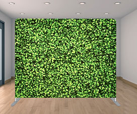 Backdrop 8.jpg