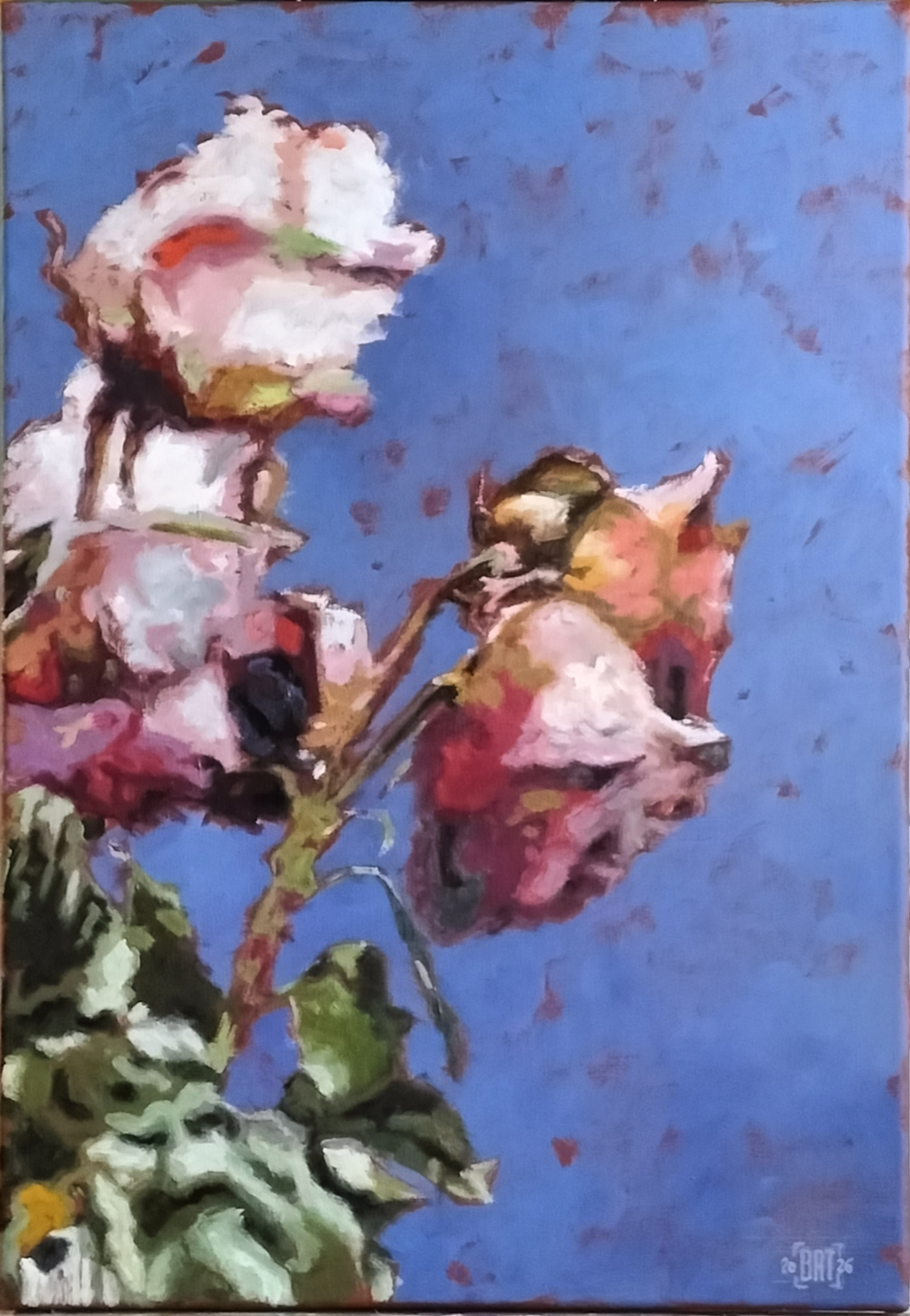 Fleur 6 ou 6 roses fanées