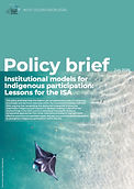 Policy Brief Institutional models for Indigenous participation Lessons for the ISA.jpg