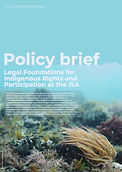 Copy of Policy Brief Legal Foundations for Indigenous Rights and Participation at the ISA.