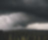 An all grey image of storm clouds over a forest.jpg