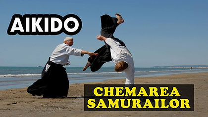 PROIECT AIKIDO.jpg