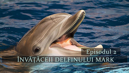 INVATACEII DELFINULUI MARK 2.jpg