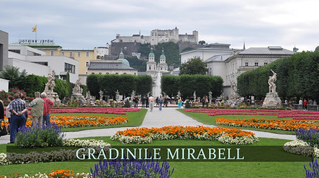 GRADINILE MIRABELL.jpg