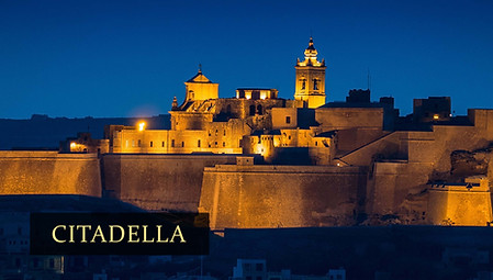 PROIECT CITADELLA.jpg