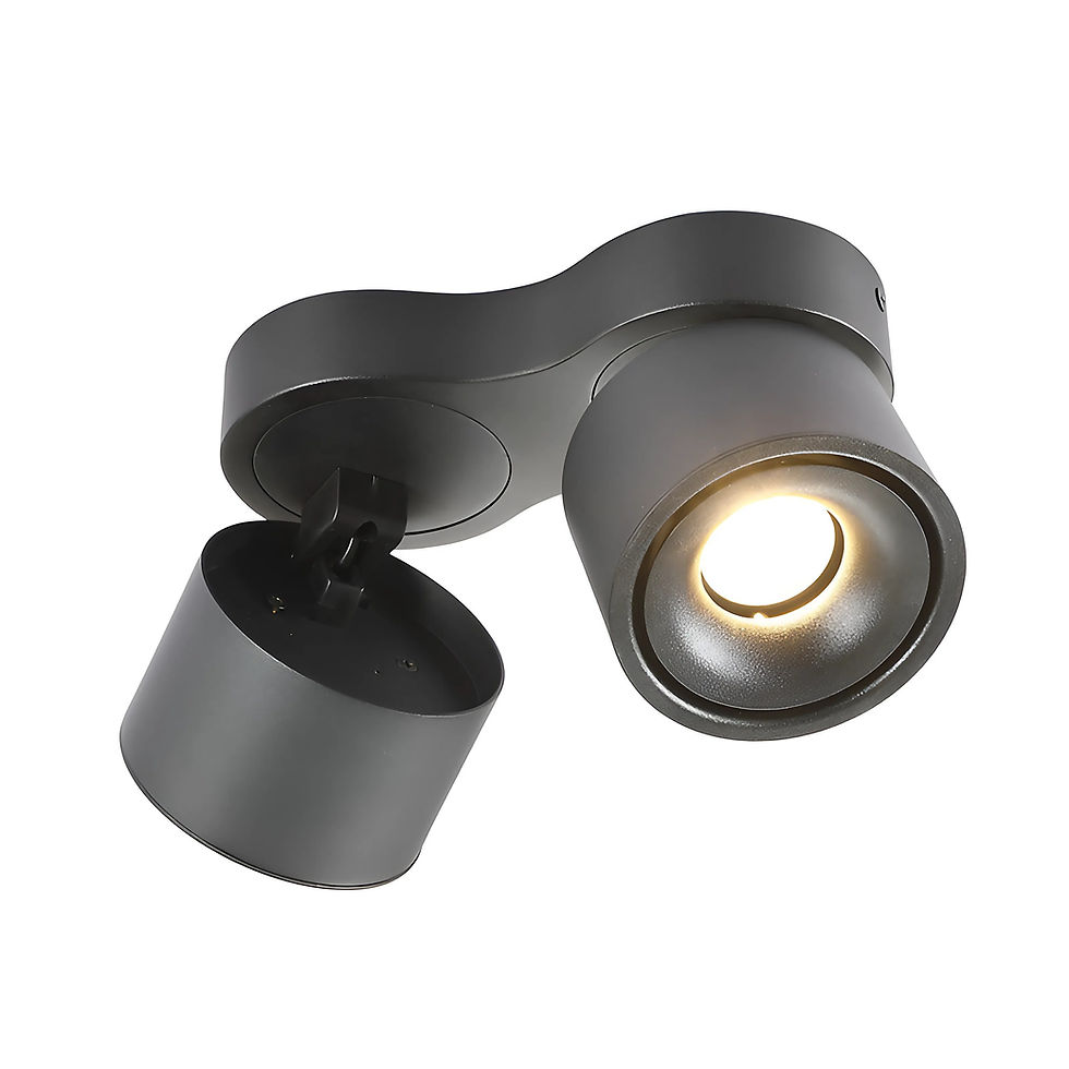 Thumbnail: HALO Twin Rotatable Ceiling Mount Light