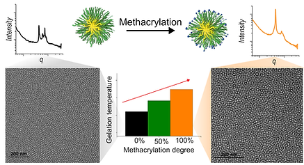 TOC-LANGMUIR.TIFF