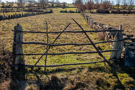 Copia de Vivinera -143.jpg