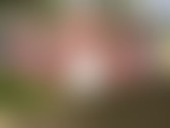 The Second(s) That Remain(s)