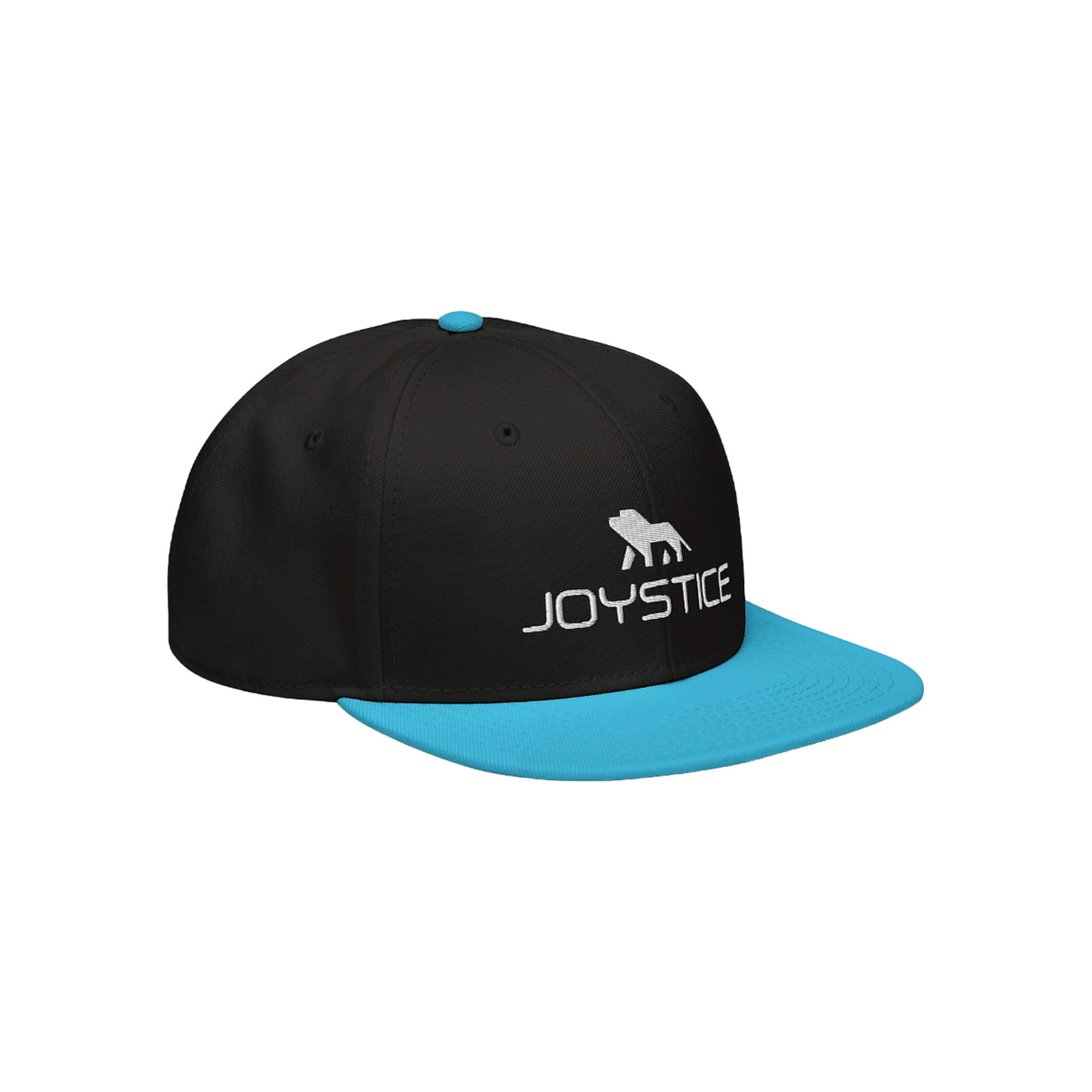 Fierce Lion Logo Aqua Embroidered Flat Bill Hat Side View