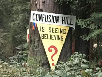 The Drowning Termite Energy?