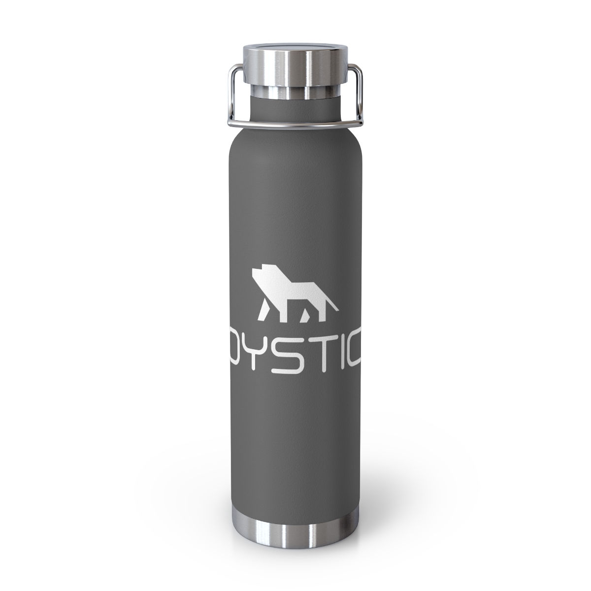 Fierce Lion Logo Charcoal Grey Vacuum Insulated Beverage Container Front View