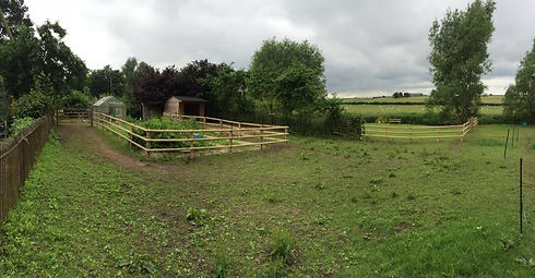 A fenced grassy field with two enclosures