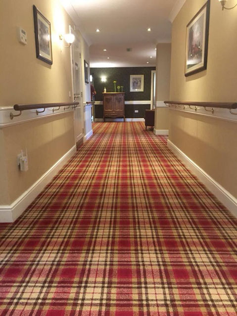 Plaid hallway carpet