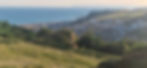 A panoramic view of a coastal town by the sea