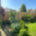 A high closeboard timber fence line passing behind leafy green shrubs