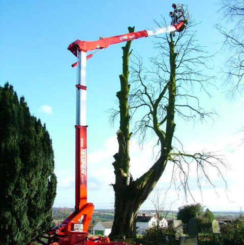 A red cherry picker in action, trimming a tree.