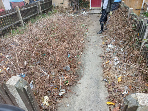 A narrow, neglected path with dead grass growing on both sides