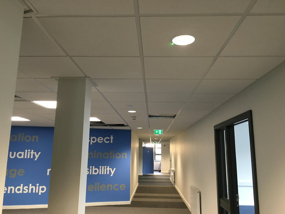 Commercial office corridor featuring a white suspended grid ceiling with recessed lighting