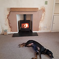 A relaxed dog lies on a carpeted floor near a glowing wood stove