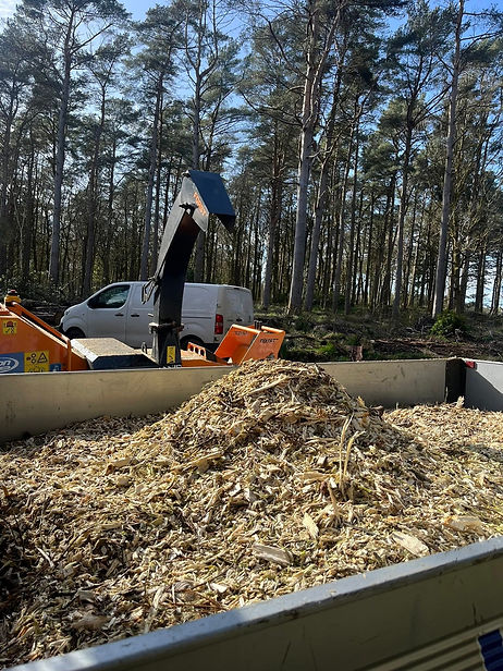Industrial wood chipper processing timber branches into a large open container