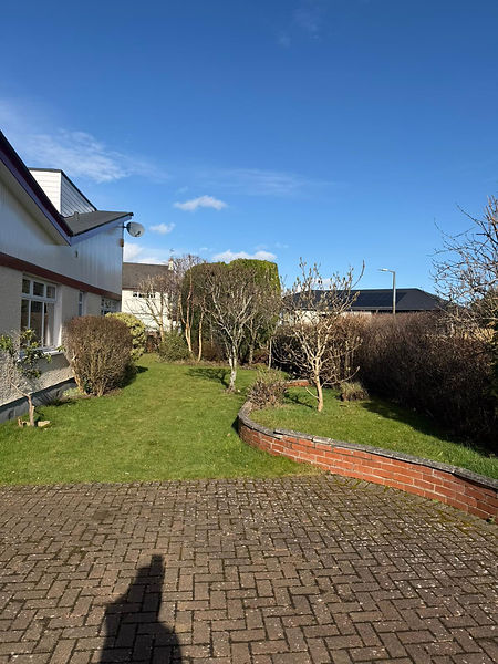 A well-maintained garden lawn featuring small shaped trees and bushes