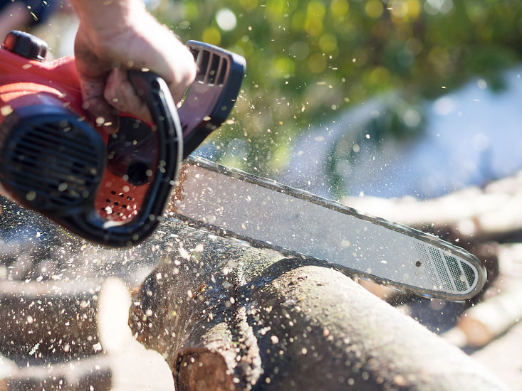 Extreme close-up of a chainsaw blade cutting through wood with sawdust