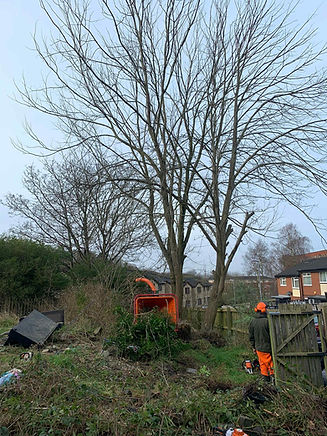 A worker in orange gear stands near a tree and a wood chipper