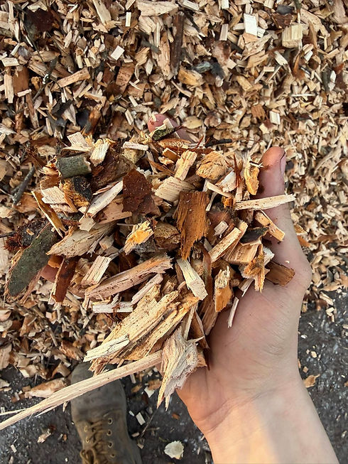 A handful of organic brown woodchips being held over a pile
