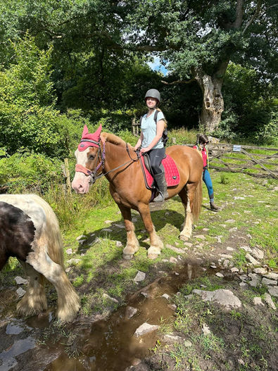 A person riding a brown horse with a red saddle and ear cover on a sunny day