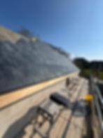 89a1c7c4-f29e-4d63-a934-3df862143a8e_image_jpeg