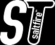 st logo