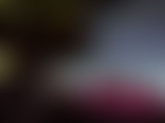 Native Politics in Broadcast Media and Film Panel 