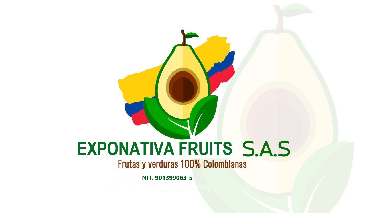 Foto del escritor: Exportación de frutas alimento