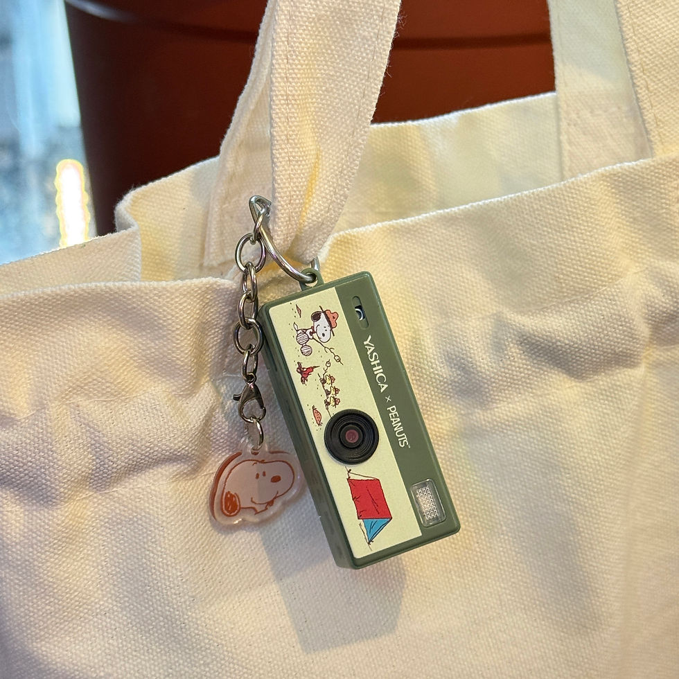 Thumbnail: YASHICA x Peanuts Funtastic Keychain Camera (Snoopy's Summit)