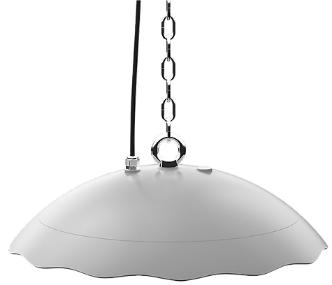 PRISTINE-H Web 1.png