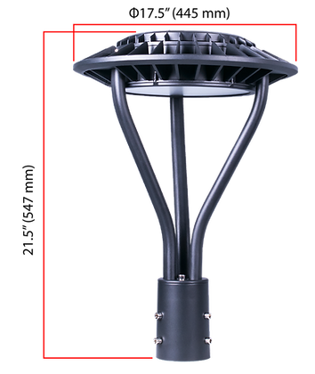 CAP-2 LG DM 1.png
