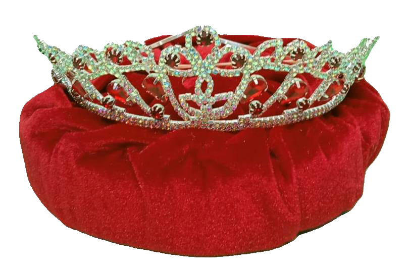 Corona para XV Años. Corona para presentación. Corona para Bodas. Coronas y Tiaras.