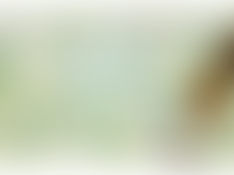 Wine of the Week: Ravines